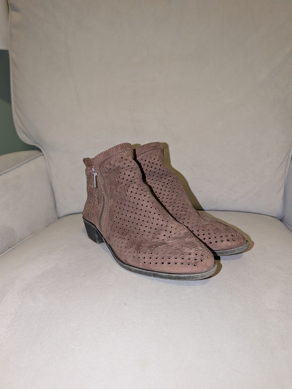 Madden Girl Women's Perforated Suede Ankle Booties - Brown, Size 10